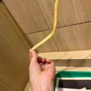 ヒメ日記 2025/09/20 19:49 投稿 さえ G-STAGE