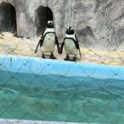 ヒメ日記 2025/09/24 17:29 投稿 さえ G-STAGE