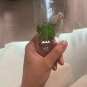 ヒメ日記 2025/09/29 17:19 投稿 さえ G-STAGE