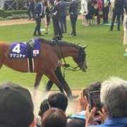 ヒメ日記 2025/09/30 17:19 投稿 さえ G-STAGE