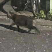 ヒメ日記 2025/10/07 16:30 投稿 さえ G-STAGE