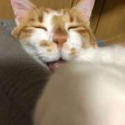 ヒメ日記 2025/10/17 17:01 投稿 さえ G-STAGE