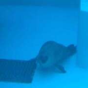 ヒメ日記 2025/10/28 17:19 投稿 さえ G-STAGE