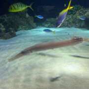 ヒメ日記 2025/10/29 16:49 投稿 さえ G-STAGE