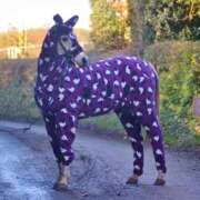 ヒメ日記 2025/11/08 17:09 投稿 さえ G-STAGE