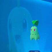 ヒメ日記 2025/11/10 17:37 投稿 さえ G-STAGE