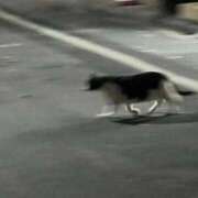 ヒメ日記 2025/12/19 16:19 投稿 さえ G-STAGE（京都グループ）