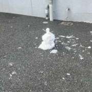 ヒメ日記 2026/02/20 18:20 投稿 さえ G-STAGE