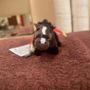 ヒメ日記 2026/02/24 18:45 投稿 さえ G-STAGE