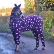 ヒメ日記 2026/03/05 15:57 投稿 さえ G-STAGE