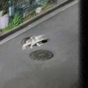 ヒメ日記 2026/03/18 17:12 投稿 さえ G-STAGE