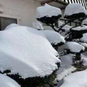 ヒメ日記 2025/01/05 18:53 投稿 遥希(はるき) 人妻出逢い会 百合の園 池袋店