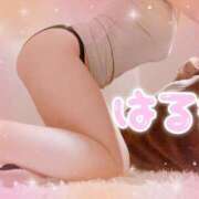 ヒメ日記 2025/04/14 14:23 投稿 遥希(はるき) 人妻出逢い会 百合の園 池袋店