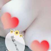 ヒメ日記 2025/03/20 13:24 投稿 ふうか 即アポ奥さん～浜松店～