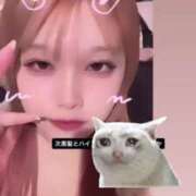 ヒメ日記 2025/06/18 11:36 投稿 のの(10000) 原価デリヘルcospa（コスパ）