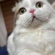 ヒメ日記 2025/07/18 16:06 投稿 のの(10000) 原価デリヘルcospa（コスパ）