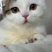 ヒメ日記 2025/12/11 17:46 投稿 のの(10000) 原価デリヘルcospa（コスパ）