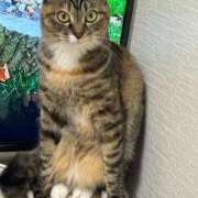 のの(10000) 受付終了🫶🏻 原価デリヘルcospa(コスパ)