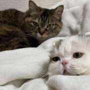 ヒメ日記 2026/02/17 18:08 投稿 のの(10000) 原価デリヘルcospa（コスパ）