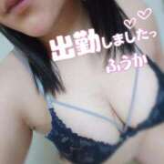 ヒメ日記 2024/12/09 16:26 投稿 ふうか(7000) 原価デリヘルcospa（コスパ）