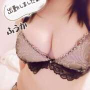 ヒメ日記 2025/04/04 13:56 投稿 ふうか(7000) 原価デリヘルcospa（コスパ）