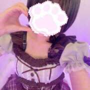 ほのか おきゅいん𐔌՞⁔•͈ ·̫ •͈⁔՞𐦯 コンカフェ×オナクラ あいこねくと