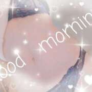 ヒメ日記 2025/03/10 08:56 投稿 こゆき セレブクエスト-omiya-