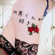 ヒメ日記 2026/02/08 20:58 投稿 こゆき セレブクエスト-omiya-