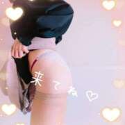 ヒメ日記 2026/03/17 10:38 投稿 こゆき セレブクエスト-omiya-