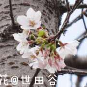 ヒメ日記 2026/03/19 17:21 投稿 こゆき セレブクエスト-omiya-