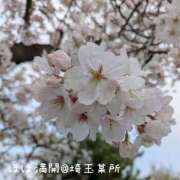 ヒメ日記 2026/03/31 20:09 投稿 こゆき セレブクエスト-omiya-