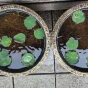こゆき ◯◯◯が欲しい☆ セレブクエスト-omiya-
