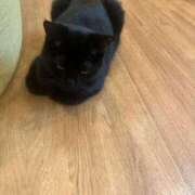 ヒメ日記 2025/05/08 23:11 投稿 あん ミラー