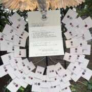 ヒメ日記 2025/06/09 09:12 投稿 あん ミラー