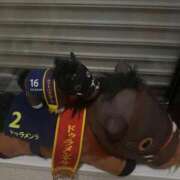 あん 明日のご予約📩 ミラー