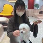 ヒメ日記 2025/03/13 17:24 投稿 えり果 Arrest（アレスト）