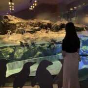 ヒメ日記 2025/08/28 12:28 投稿 えり果 Arrest（アレスト）