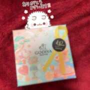 ヒメ日記 2026/03/07 11:03 投稿 えり果 Arrest（アレスト）