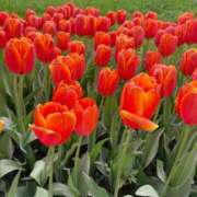 ヒメ日記 2025/05/15 23:24 投稿 めりあ デリス新宿