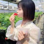 ヒメ日記 2026/05/22 14:14 投稿 めりあ デリス新宿