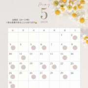 ヒメ日記 2026/04/30 08:00 投稿 まりか luxury spa 風雅