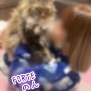 ヒメ日記 2025/02/06 08:09 投稿 のん FORTE