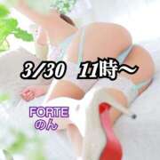 ヒメ日記 2025/04/19 00:01 投稿 のん FORTE