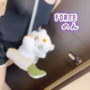 ヒメ日記 2025/04/19 15:09 投稿 のん FORTE