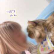 ヒメ日記 2025/06/04 15:19 投稿 のん FORTE