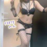 ヒメ日記 2025/06/09 08:19 投稿 のん FORTE