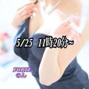 ヒメ日記 2025/06/20 22:29 投稿 のん FORTE