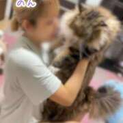 ヒメ日記 2025/08/21 08:09 投稿 のん FORTE