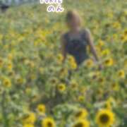 ヒメ日記 2025/08/23 07:29 投稿 のん FORTE