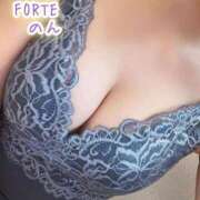 ヒメ日記 2025/08/31 07:50 投稿 のん FORTE